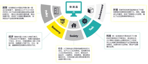 數字心智運營 把握時代機遇，論中國快消品企業D2C轉型趨勢及北京企業網站開發與運營